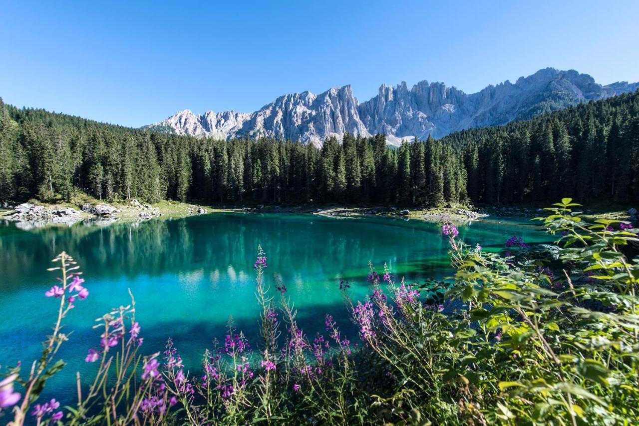 Costalungahouse Trekkingbikeski Selfcheck-In Apartment Carezza al Lago Exterior foto